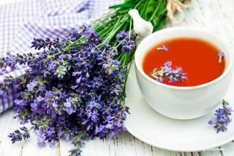 آبله میمونی قابلیت تبدیل شدن به «پاندمی» را دارد؟ آبله میمونی قابلیت تبدیل شدن به «پاندمی» را دارد؟