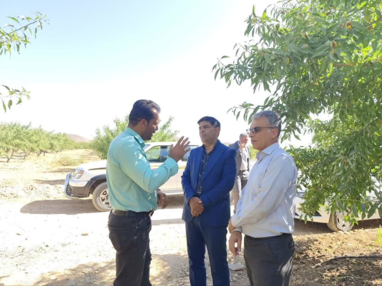 ثبت رکورد ۸ تن برداشت بادام در هکتار 4 برابر میانگین کشوری توسط باغدار سامانی ثبت رکورد ۸ تن برداشت بادام در هکتار 4 برابر میانگین کشوری توسط باغدار سامانی