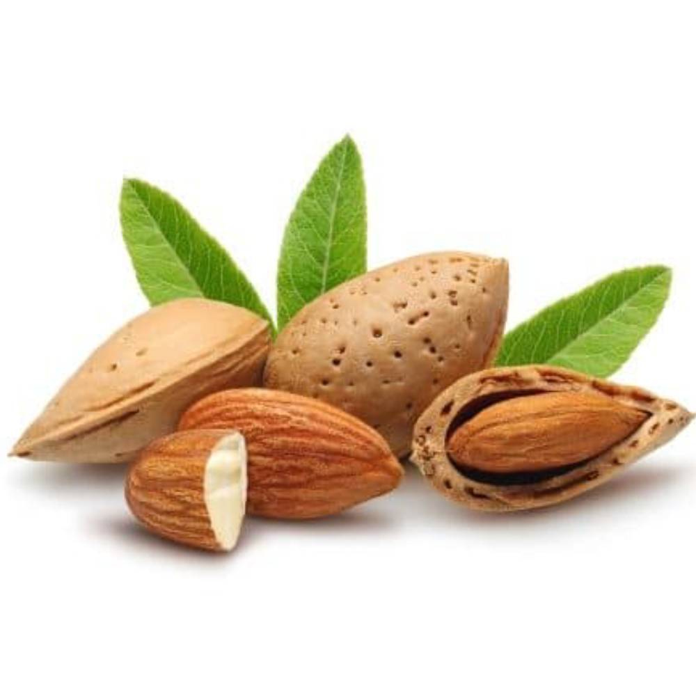 نخستین جلسه تعیین قیمت بادام درسال ۱۴۰۴ شهرستان سامان برگزار شد نخستین جلسه تعیین قیمت بادام درسال ۱۴۰۴ شهرستان سامان برگزار شد