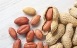 بادام‌زمینی؛ دانه‌ای کوچک با خواص بزرگ برای سلامتی