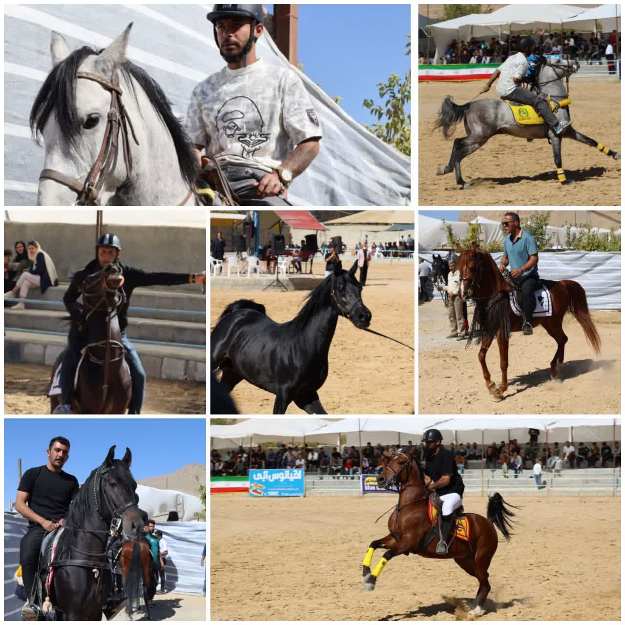 فستیوال سوارکاری در فرخشهر برگزار شد فستیوال سوارکاری در فرخشهر برگزار شد