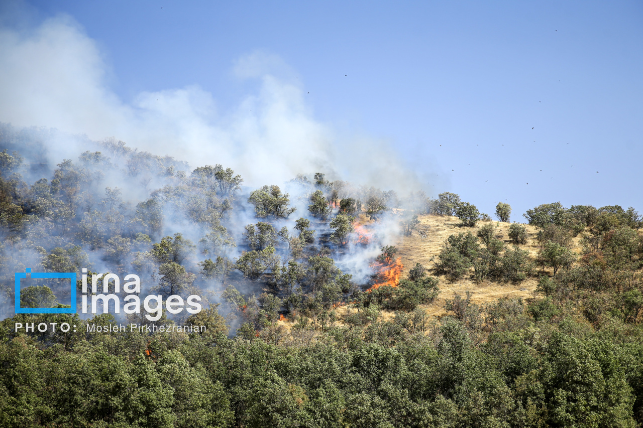 آتشسوزی در مراتع آزادشهر و مینودشت؛ ستاد بحران تشکیل شد آتشسوزی در مراتع آزادشهر و مینودشت؛ ستاد بحران تشکیل شد