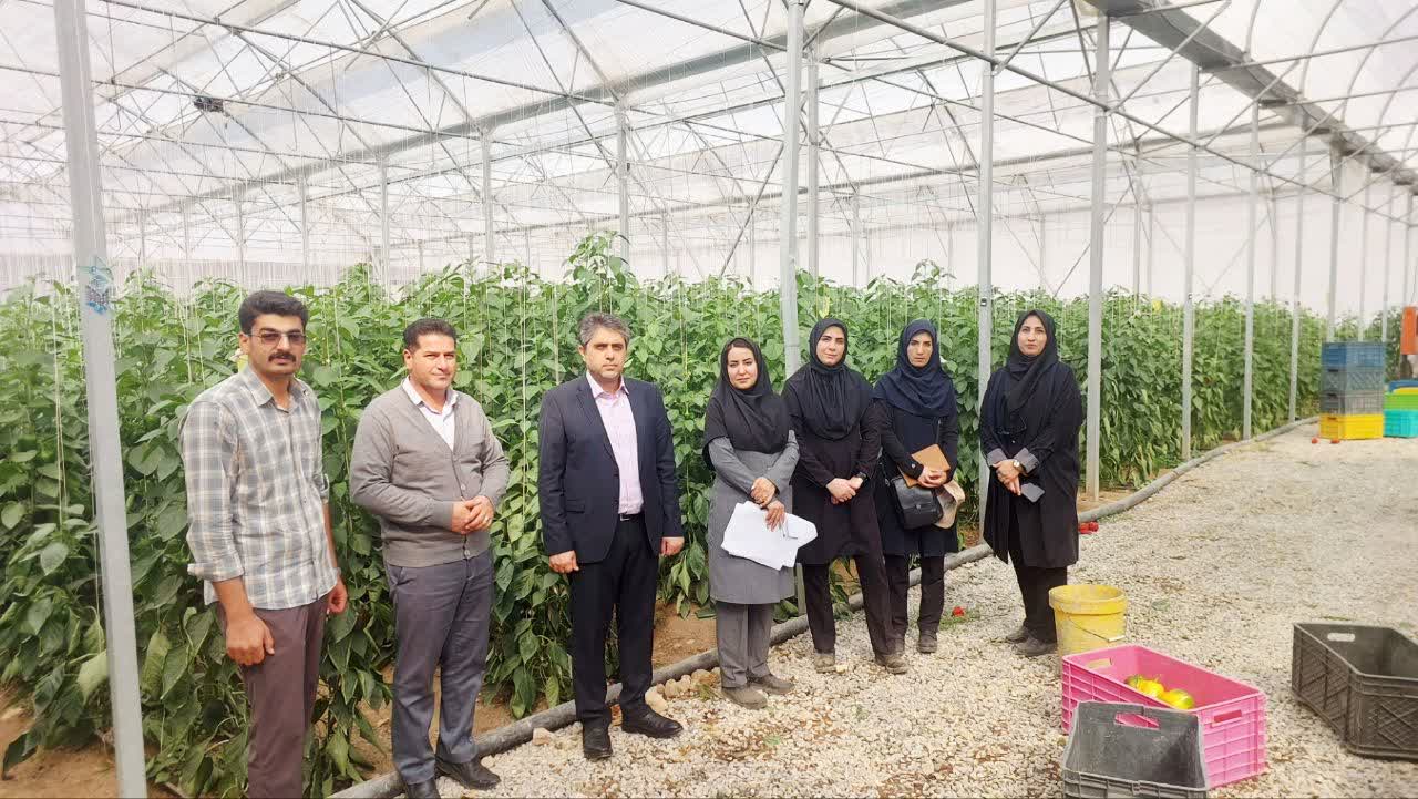 نظارت بر واحدهای گلخانه ای شهرستان فرخشهر نظارت بر واحدهای گلخانه ای شهرستان فرخشهر