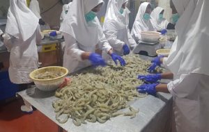 صادرات ۳۱۲ تن میگو؛ رکوردی تازه برای چهارمحال و بختیاری