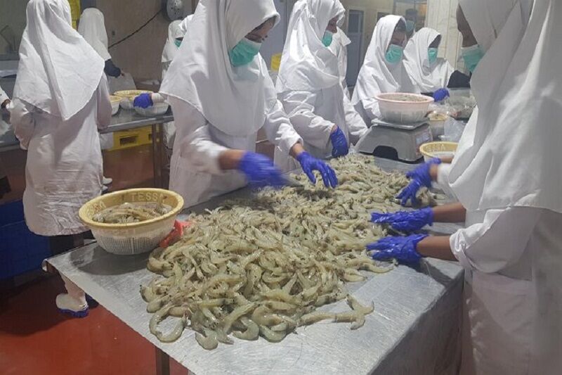 صادرات ۳۱۲ تن میگو؛ رکوردی تازه برای چهارمحال و بختیاری صادرات ۳۱۲ تن میگو؛ رکوردی تازه برای چهارمحال و بختیاری