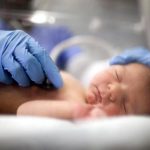 تولد بیش از ۱۶۰۰ نوزاد در هرمزگان؛ روایت ادامه زندگی در دل جنگ