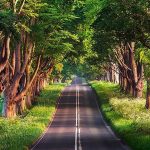 معرفی هشت روستای ایران برای ثبت در فهرست بهترین دهکده‌های گردشگری جهان