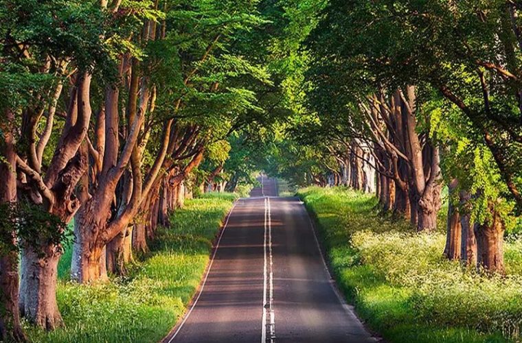 معرفی هشت روستای ایران برای ثبت در فهرست بهترین دهکده‌های گردشگری جهان