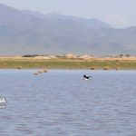 تالاب «آق‌گل» ملایر چشم انتظار بارش‌های بهاره