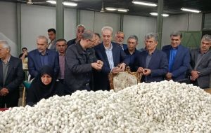 صنعت ابریشم گیلان احیا می‌شود