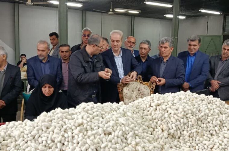 صنعت ابریشم گیلان احیا می‌شود