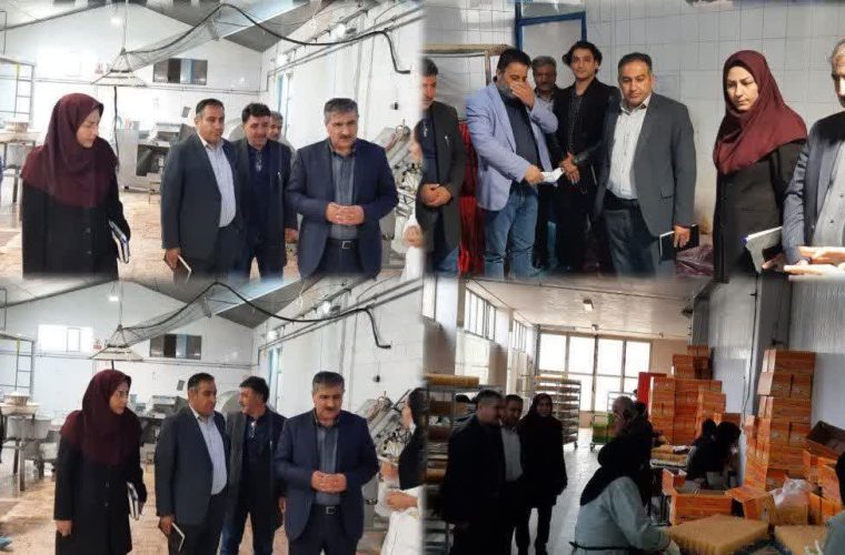 مدیرکل تعاون چهارمحال و بختیاری : فعالیت اقتصادی در شرایط جنگی، هم‌ ارزش جهاد است