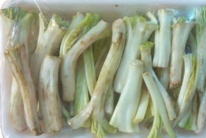 خواص گیاه خودرو کنگر