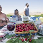 جشن گیلاس در فشند استان البرز ؛ شکرانه سال پرمحصول