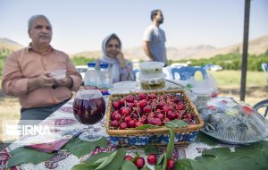 جشن گیلاس در فشند استان البرز ؛ شکرانه سال پرمحصول