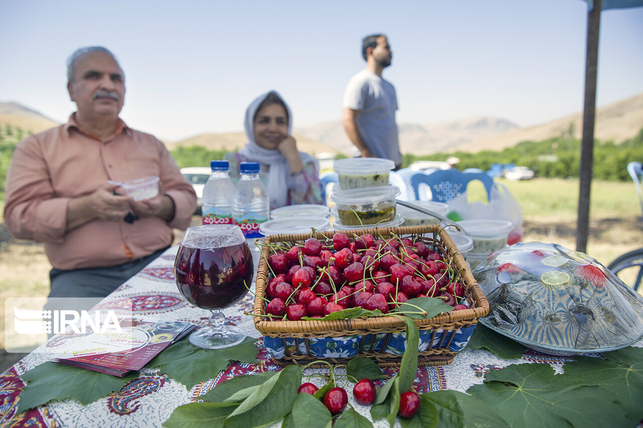 جشن گیلاس در فشند استان البرز ؛ شکرانه سال پرمحصول جشن گیلاس در فشند استان البرز ؛ شکرانه سال پرمحصول