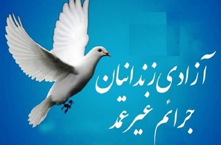 گذشتی به وسعت ۱۲۲۵ میلیارد تومان؛ ۲۲۱ زندانی به آغوش زندگی بازگشتند